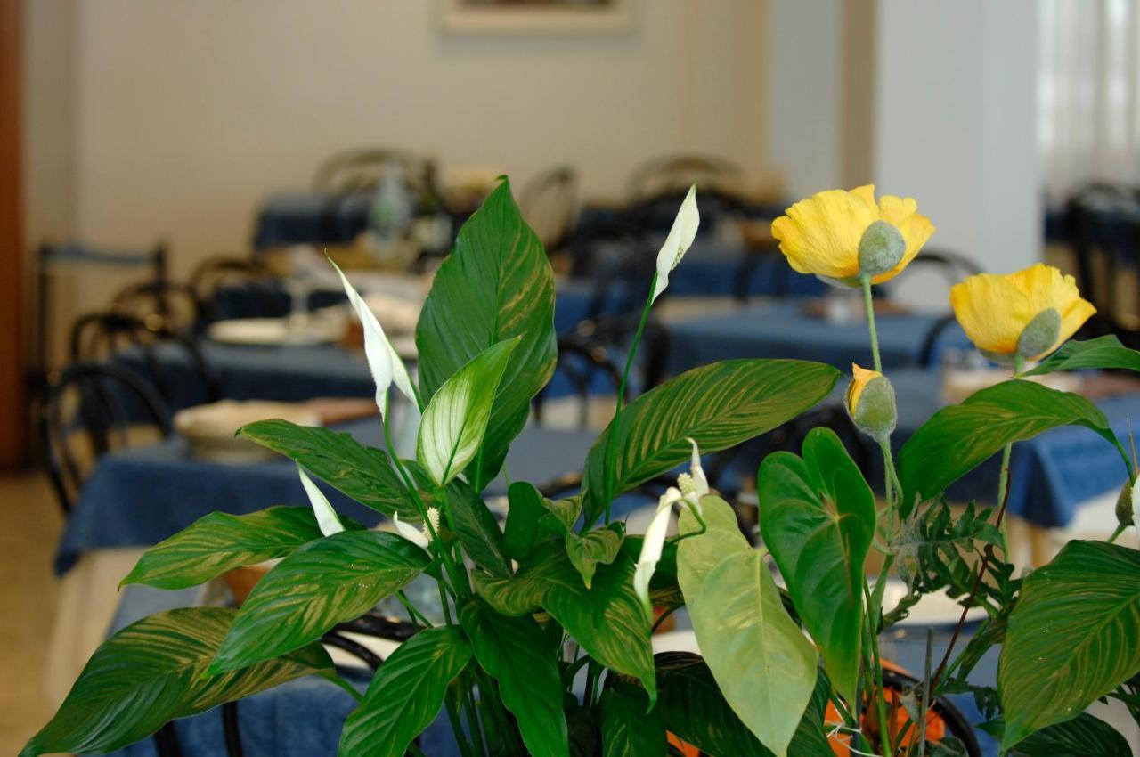 Hotel Sorriso Cattolica Ngoại thất bức ảnh
