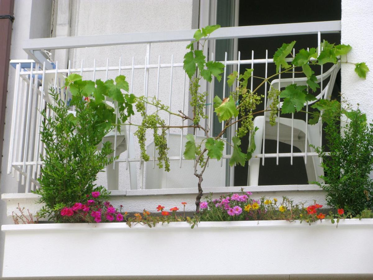Hotel Sorriso Cattolica Ngoại thất bức ảnh